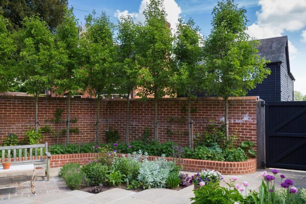 Tall green trees planted in a row behind a red brick garden wall.