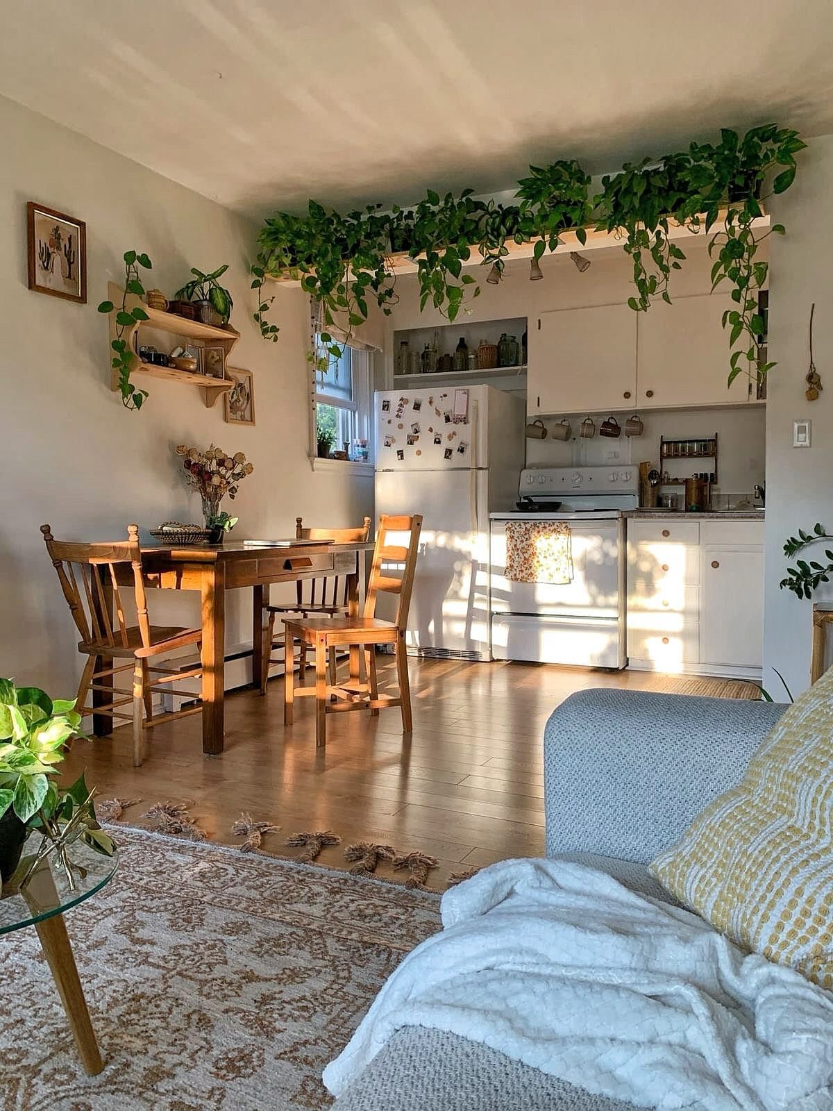Wooden dining table and chairs set in a bright kitchen with hanging green vines.